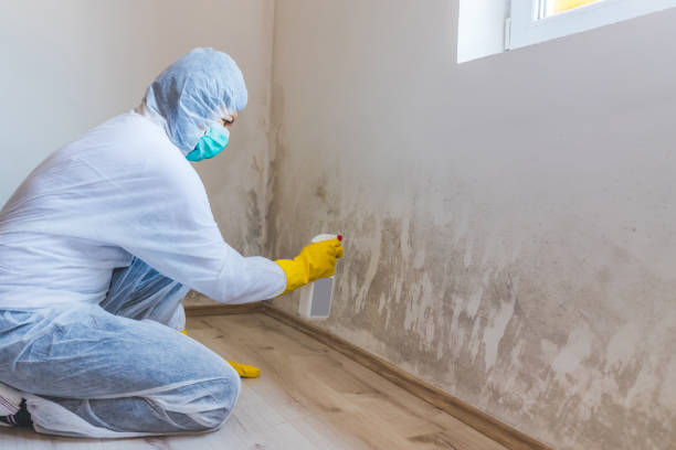 Mold Remediation specialist working in Fairfield